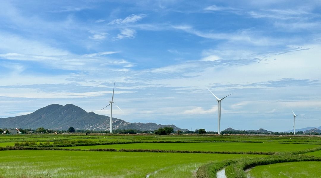 Photo Sustainable energy sources