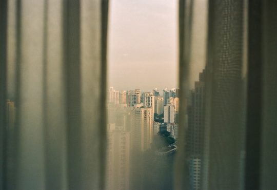 Photo window treatments