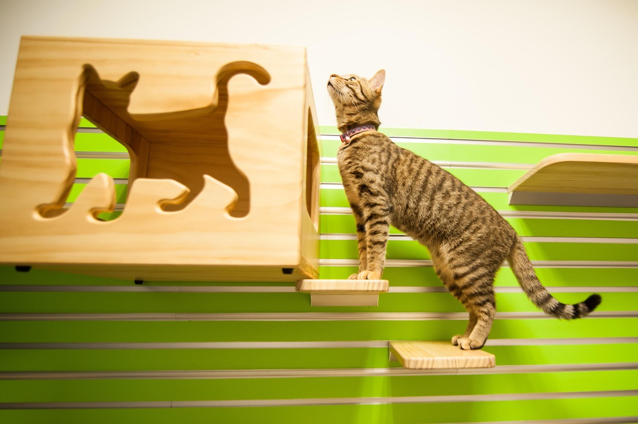 Cozy indoor pet corner with summer-themed accessories.