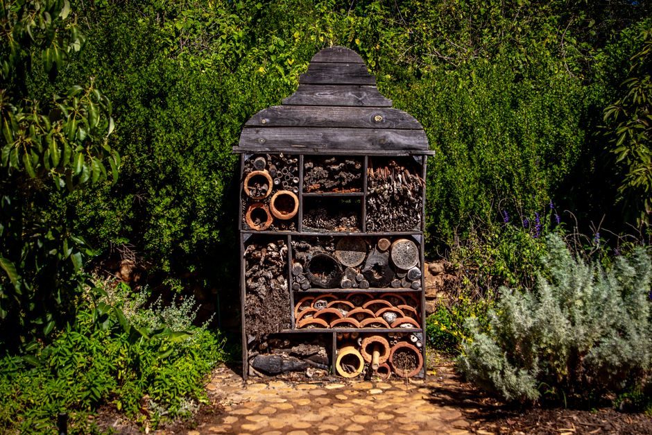 Close-up of insect hotel with bees visiting. Close-up of insect hotel with bees visiting.