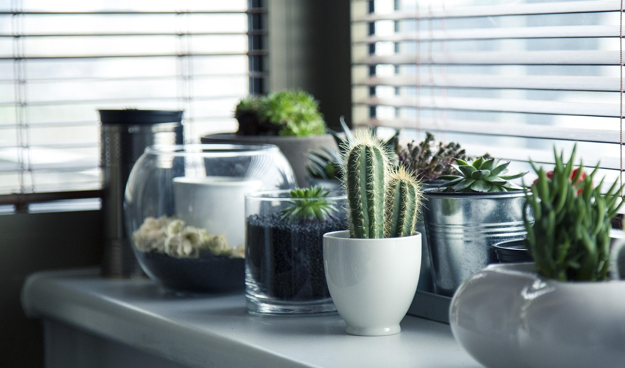 Compact city garden with homegrown herbs.