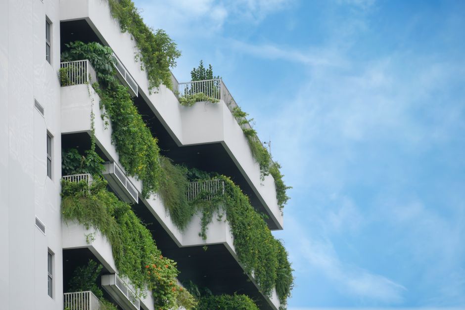 Urban balcony with small vegetable garden.