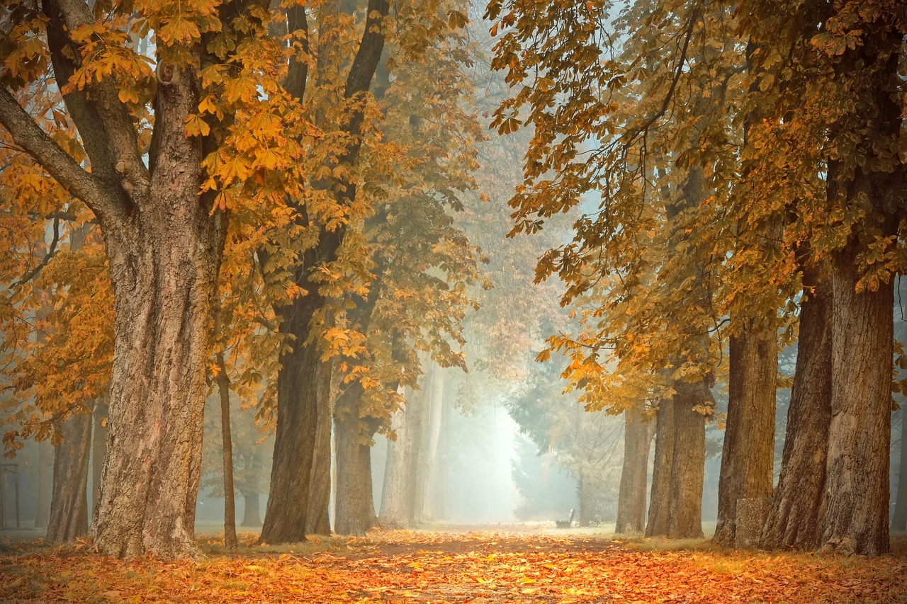 Gezellige zithoek buiten met herfst buitentapijt. Gezellige zithoek buiten met herfst buitentapijt.