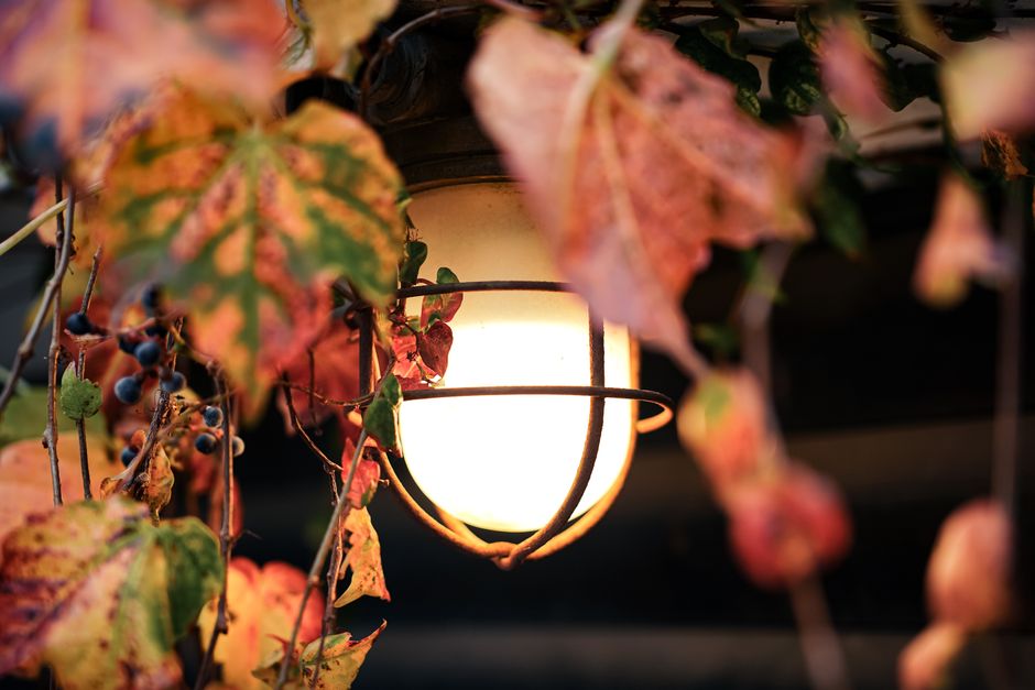 Elegant glazen hanglamp boven houten eettafel.